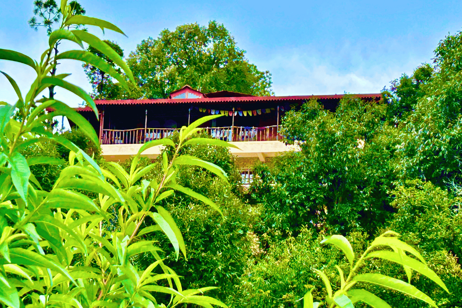 The Slow Living Farm