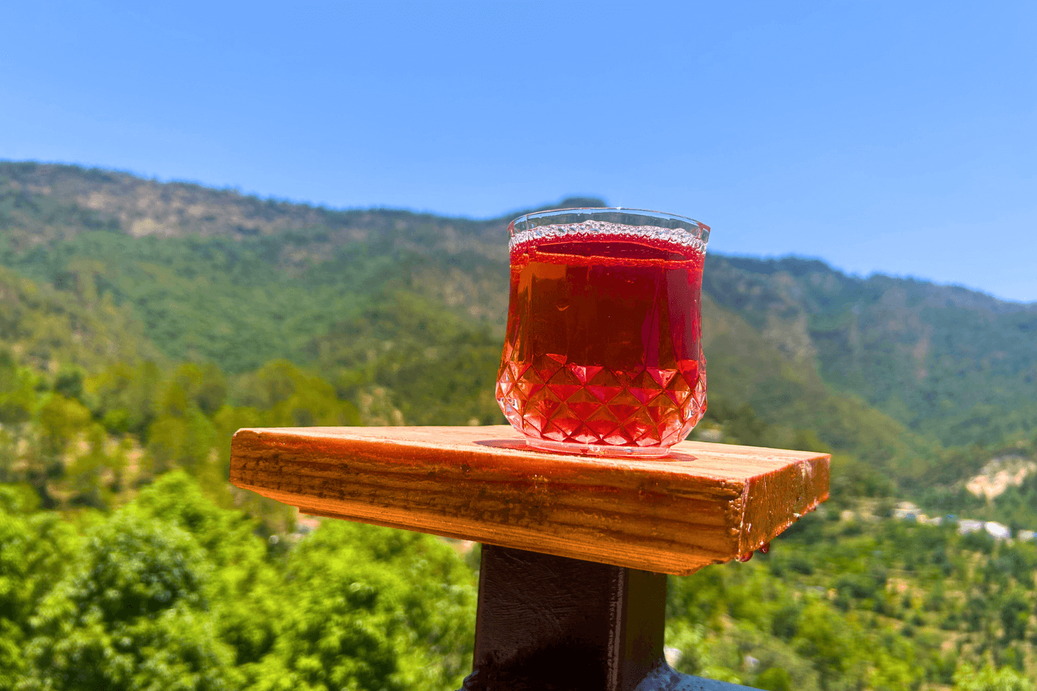 The Slow Living Farm