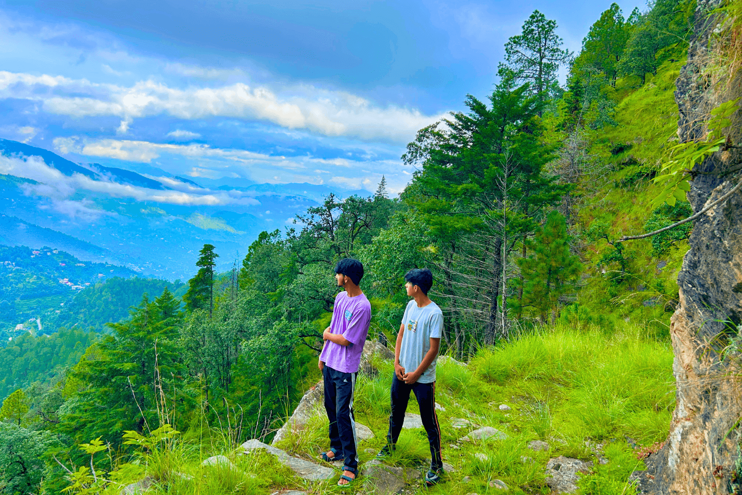 The Slow Living Farm